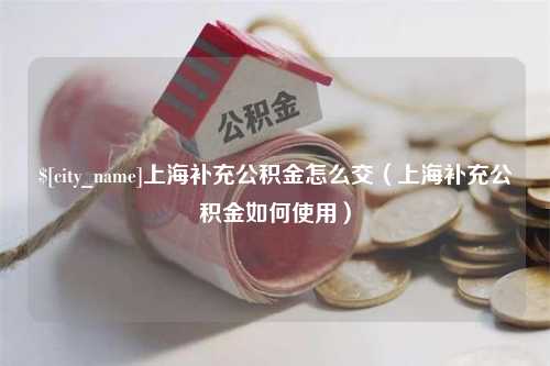 湘潭上海补充公积金怎么交（上海补充公积金如何使用）